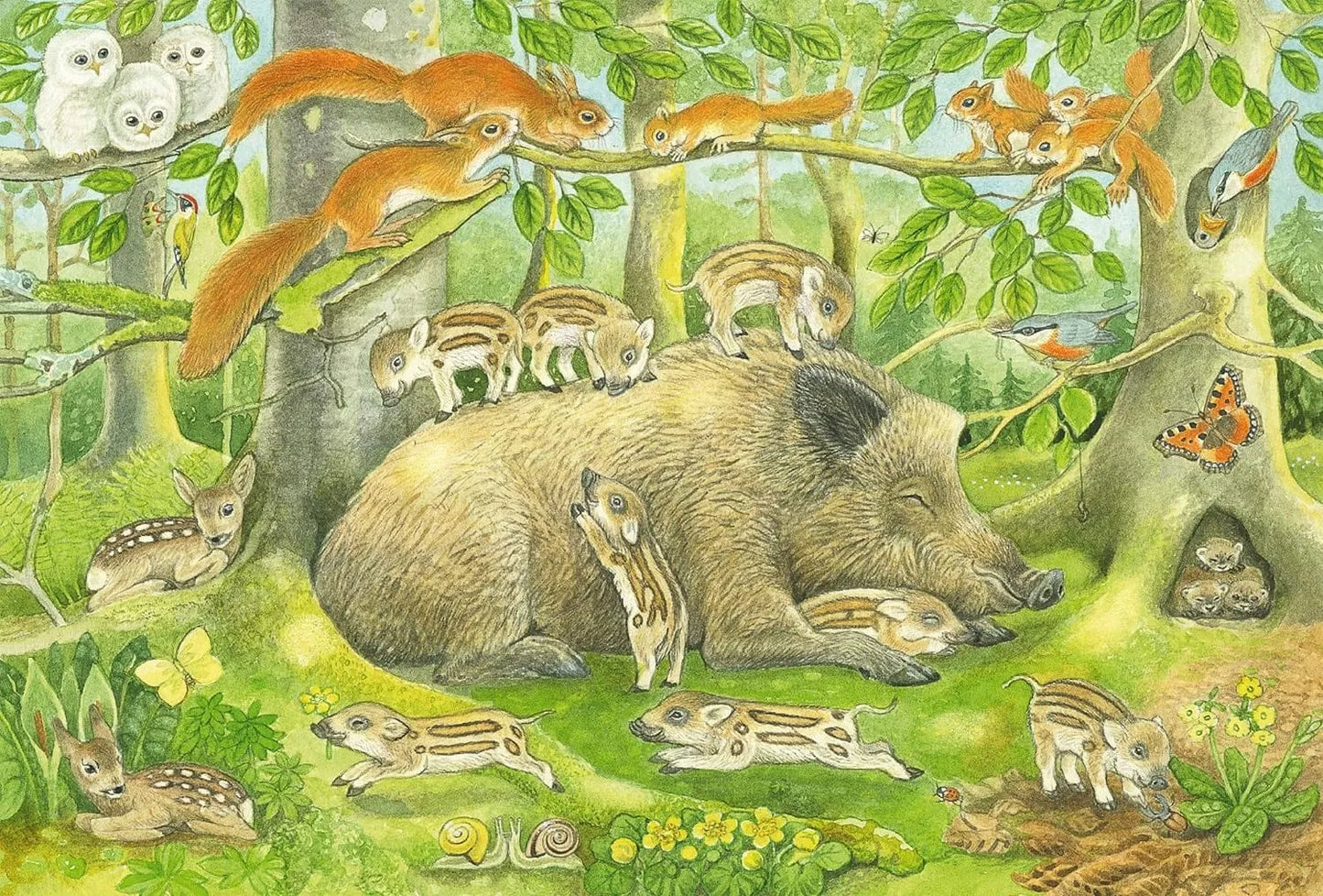 Animal family, 3x48-Vaikiškos dėlionės-Brain Games LT