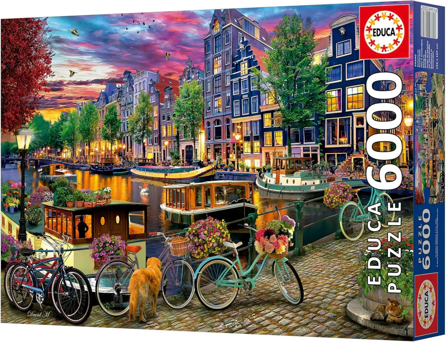 Cycling in Amsterdam, 6000-Brain Games LT
