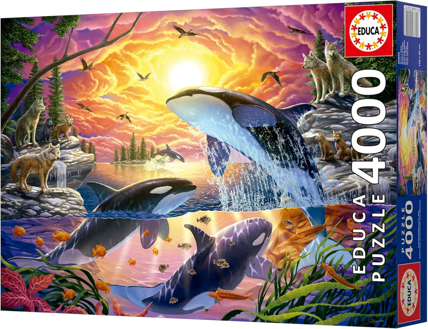 Educa Universalios dėlionės Orcas and Wolves, 4000
