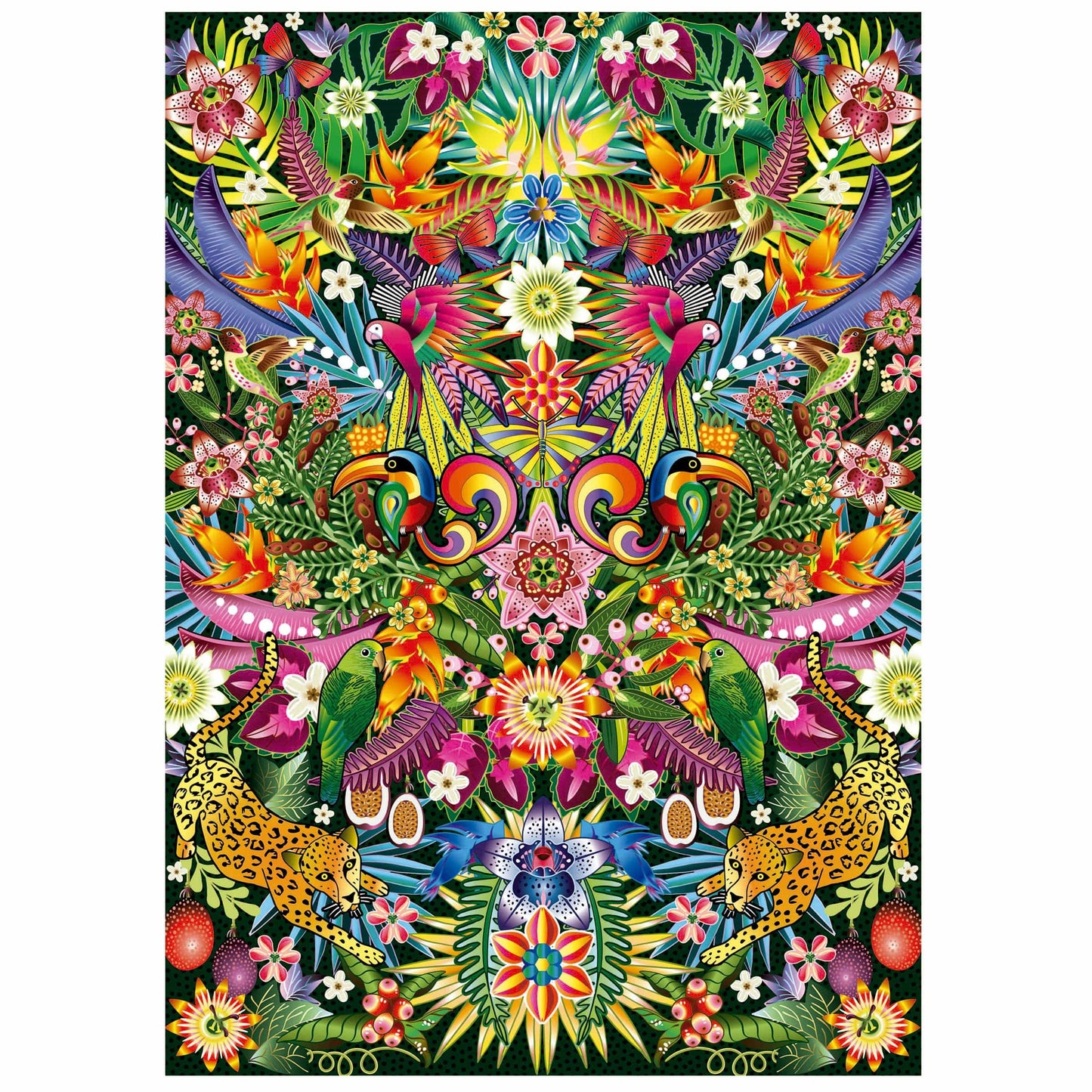 Educa Universalios dėlionės Tucans, 1000