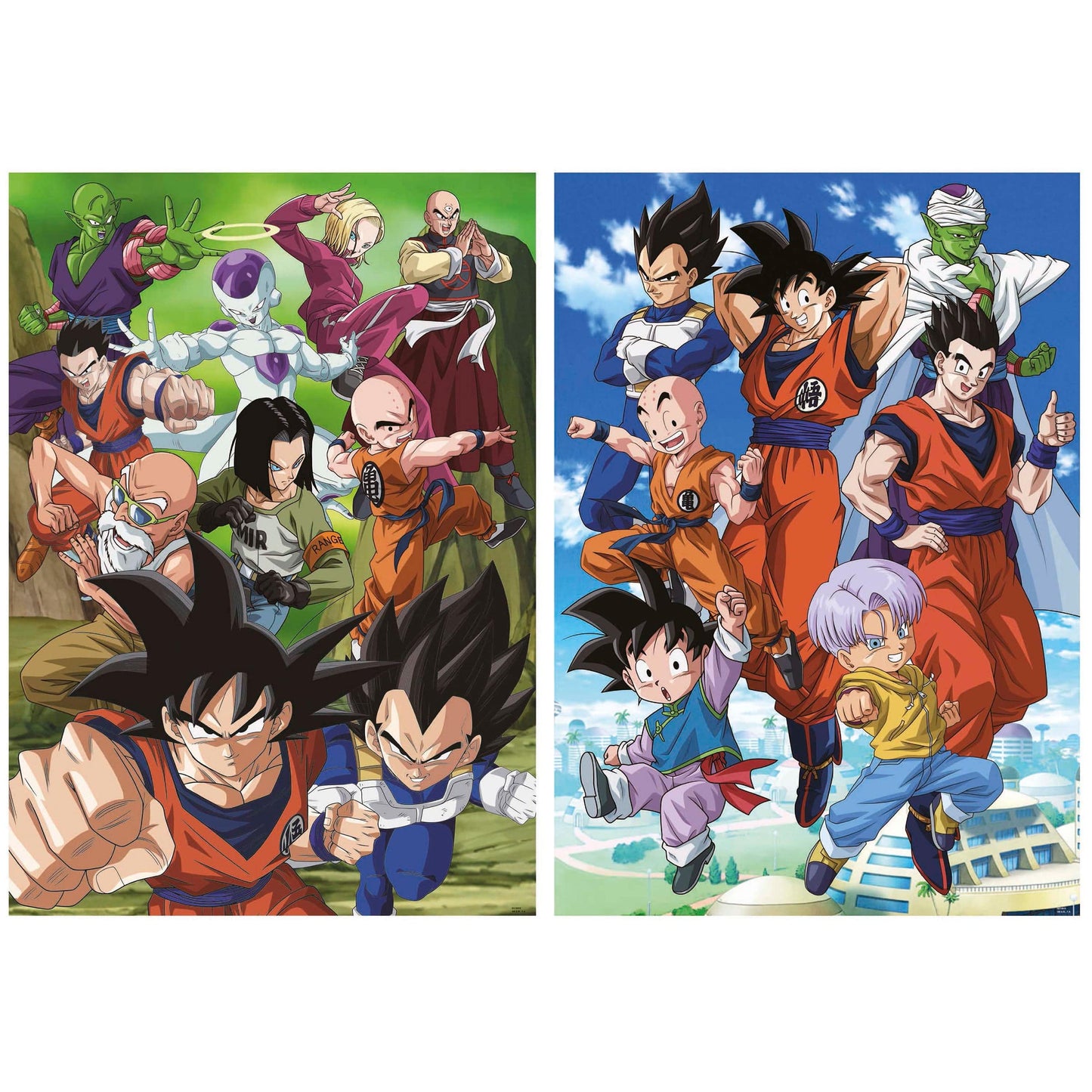 Educa Vaikiškos dėlionės Dragon Ball, 2x500