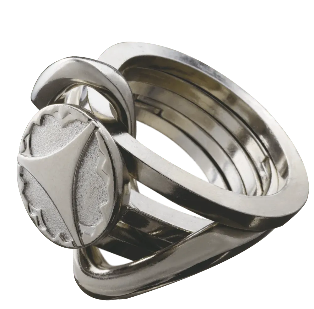 Huzzle Cast Ring II-Galvosūkiai-Brain Games LT