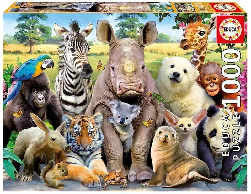 It's a class photo, 1000-Universalios dėlionės-Brain Games LT