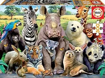 It's a class photo, 300-Vaikiškos dėlionės-Brain Games LT