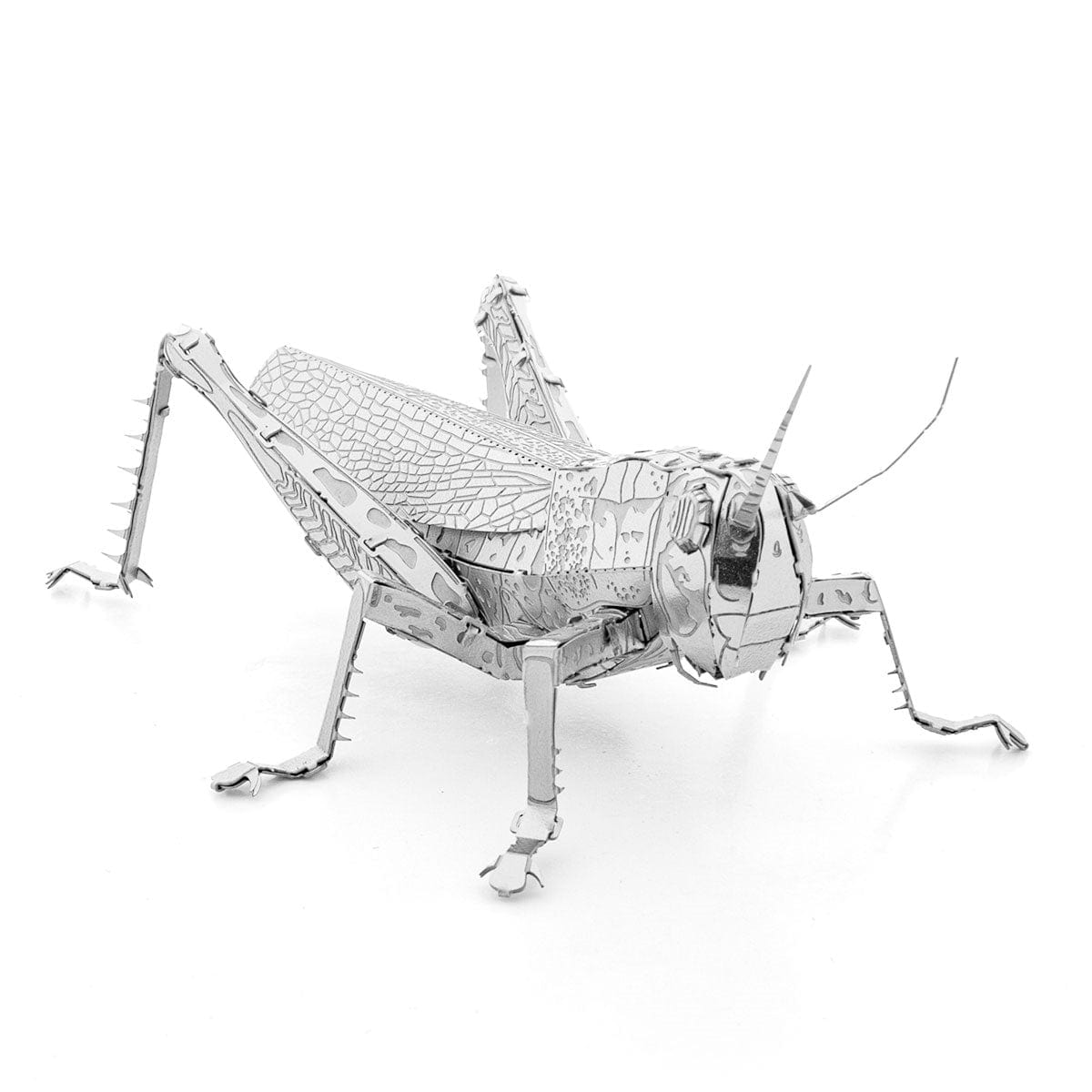 Metal Earth Konstruktoriai Metal Earth Grasshopper
