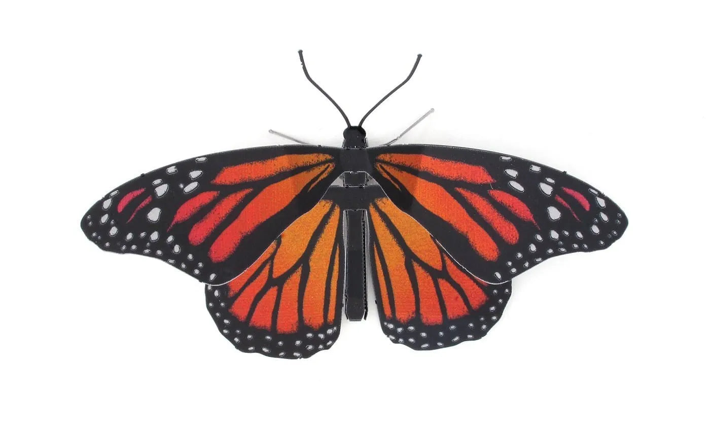 Metal Earth Monarch Butterfly-3D Delionės-Brain Games LT