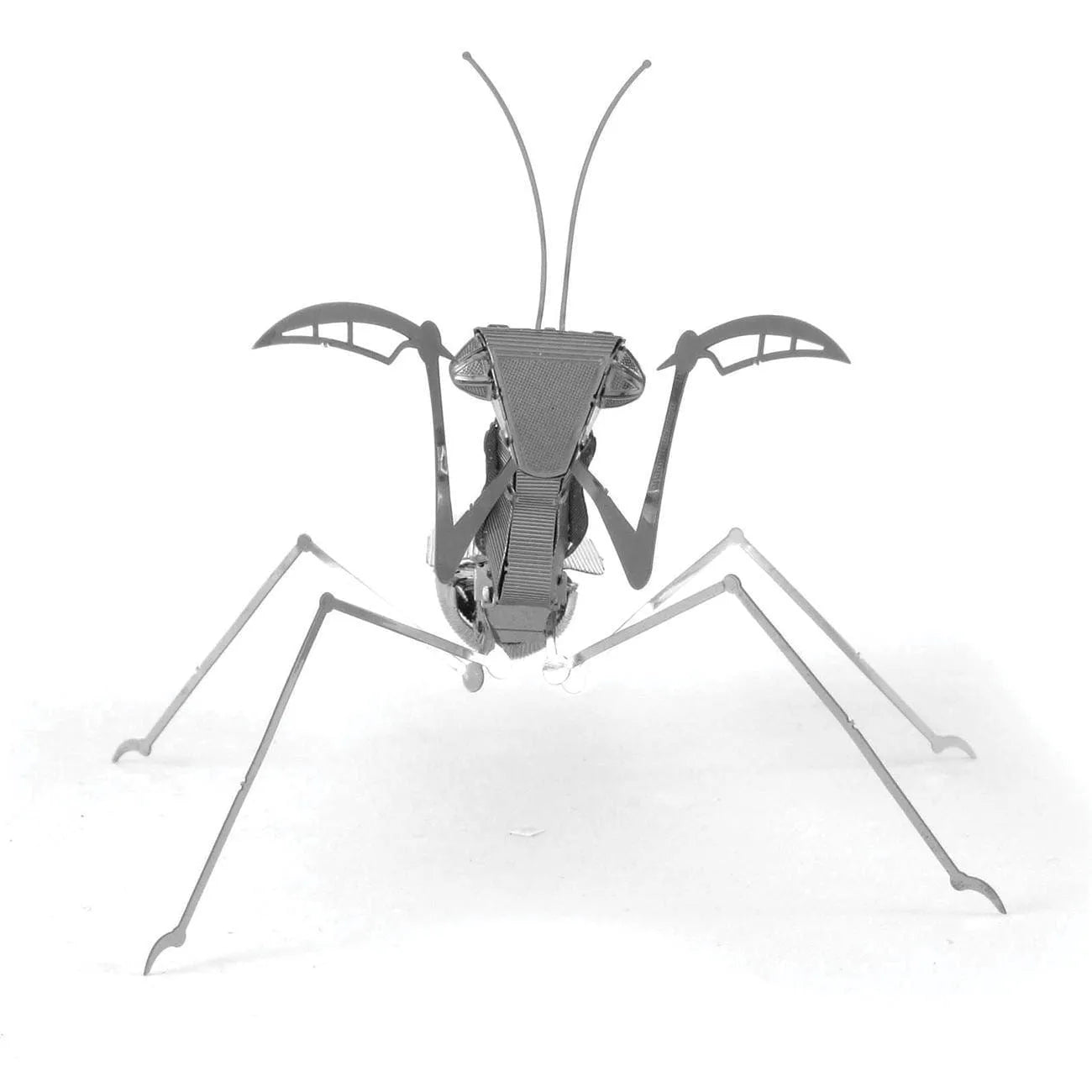 Metal Earth Praying Mantis-3D Delionės-Brain Games LT