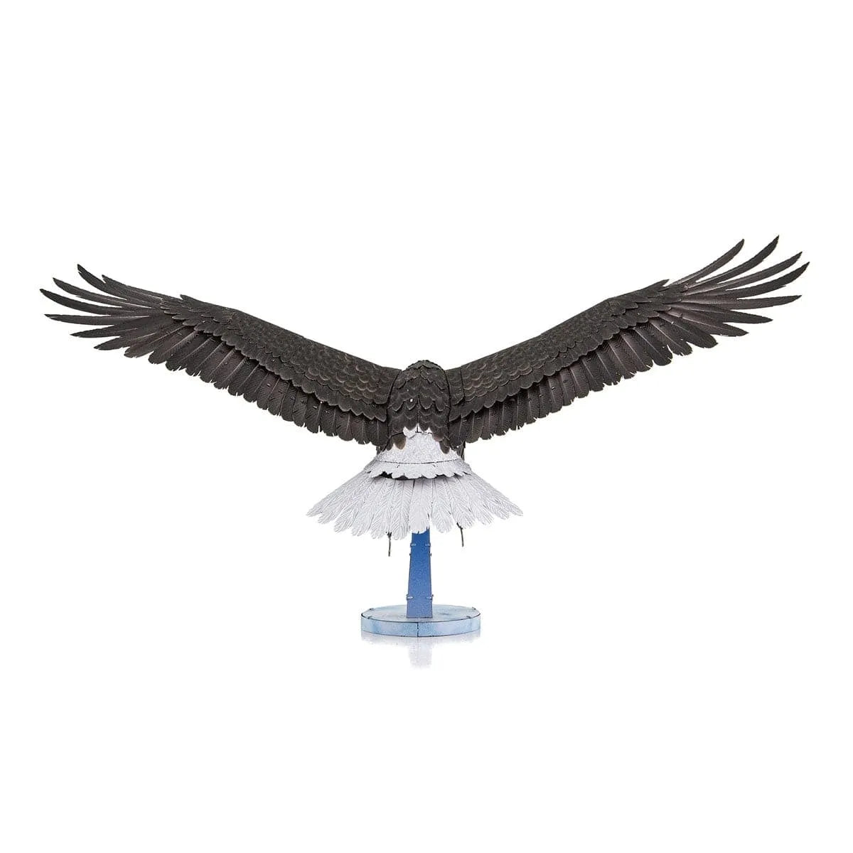 Premium Series: American Bald Eagle-Konstruktoriai-Brain Games LT