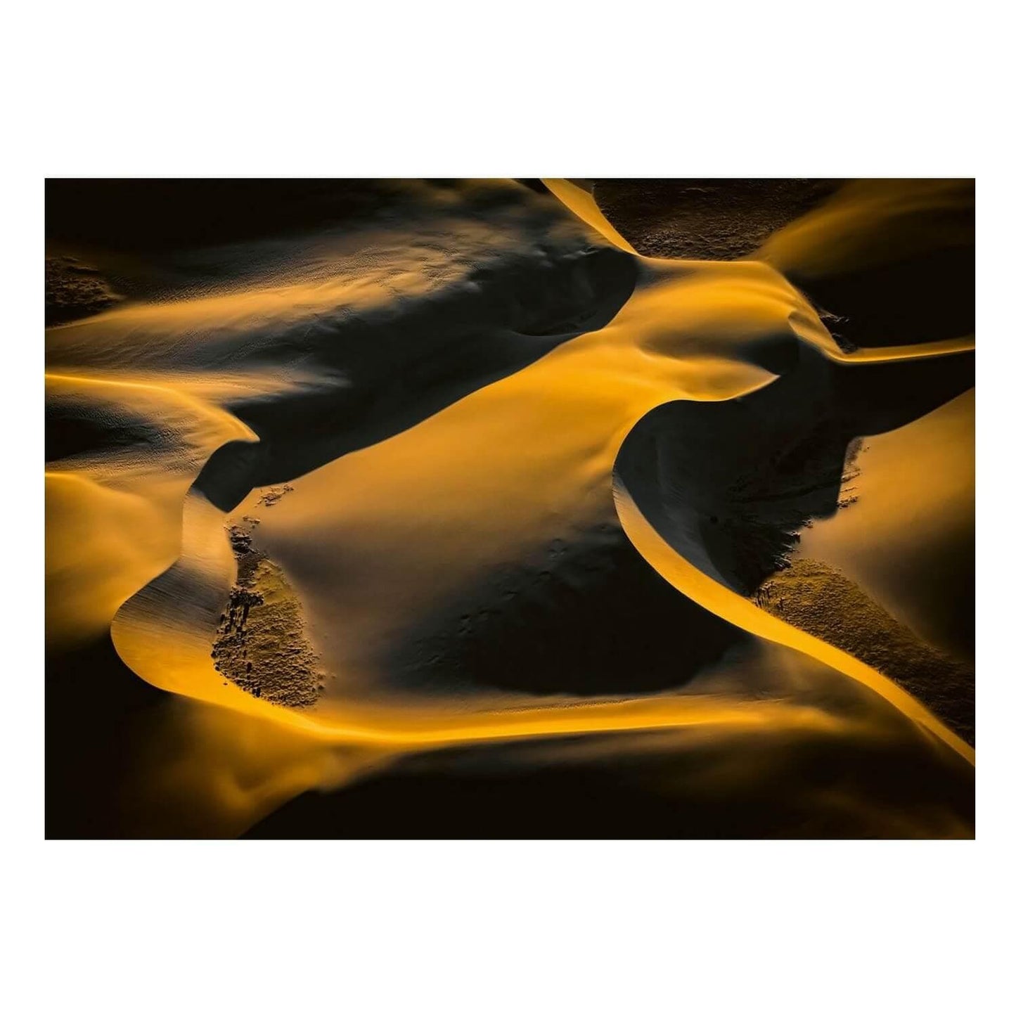 Schmidt Universalios dėlionės Hare, 1000