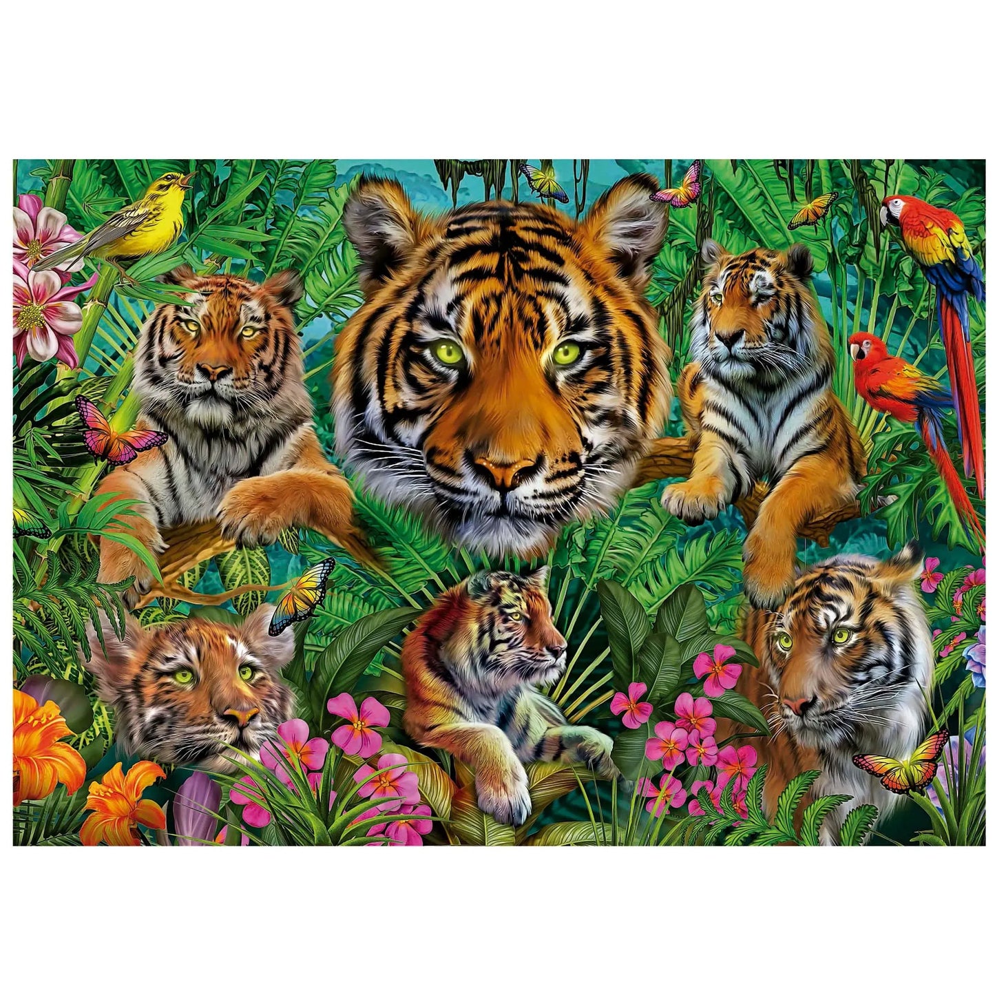 Tiger Jungle, 500-Universalios dėlionės-Brain Games LT