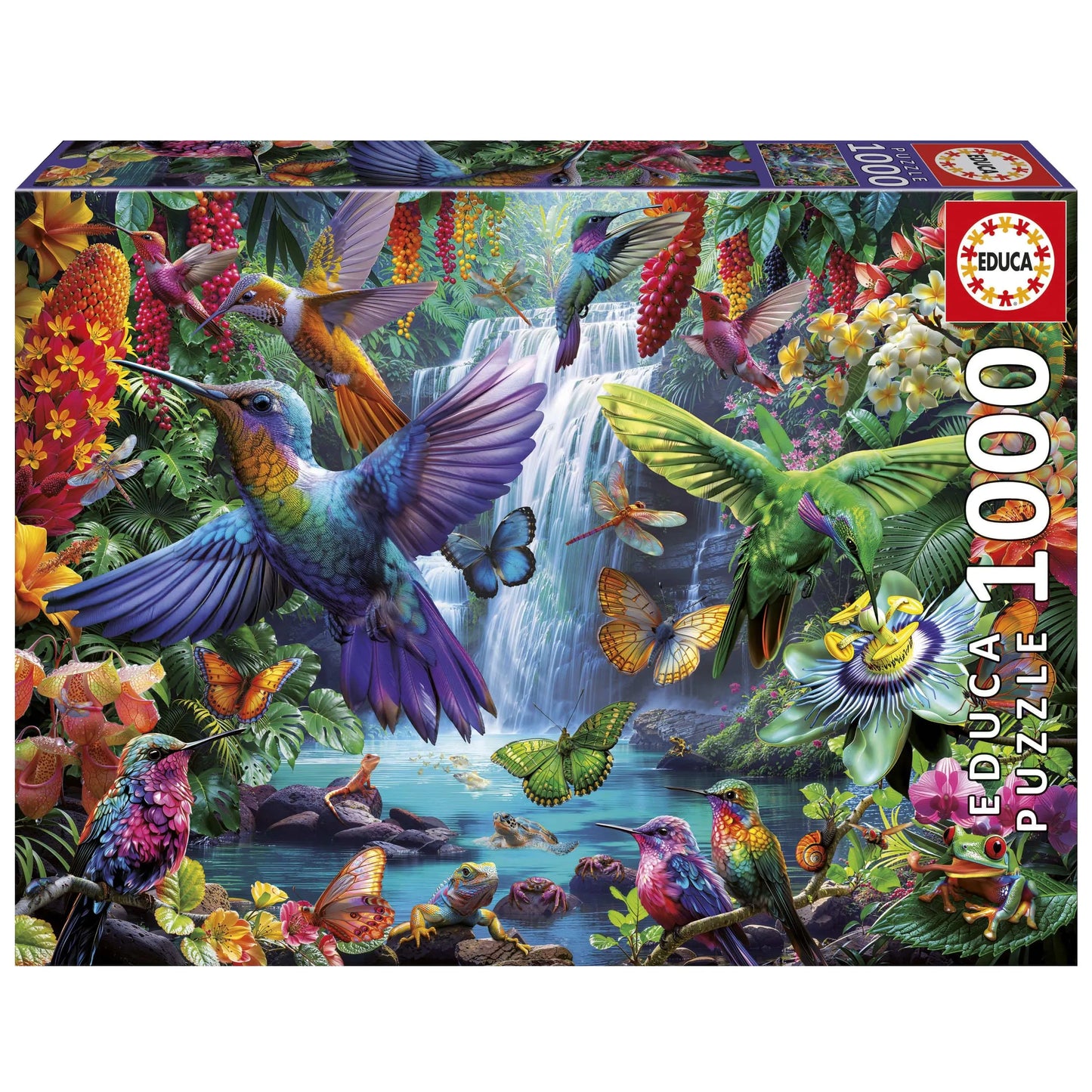 Tropical Hummingbirds, 1000-Universalios dėlionės-Brain Games LT