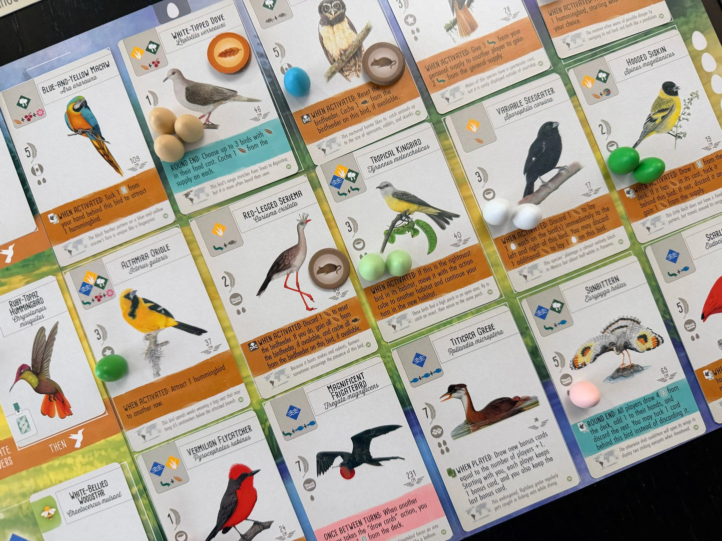 Wingspan Americas EN (papildymas)-Stalo žaidimai-Brain Games LT