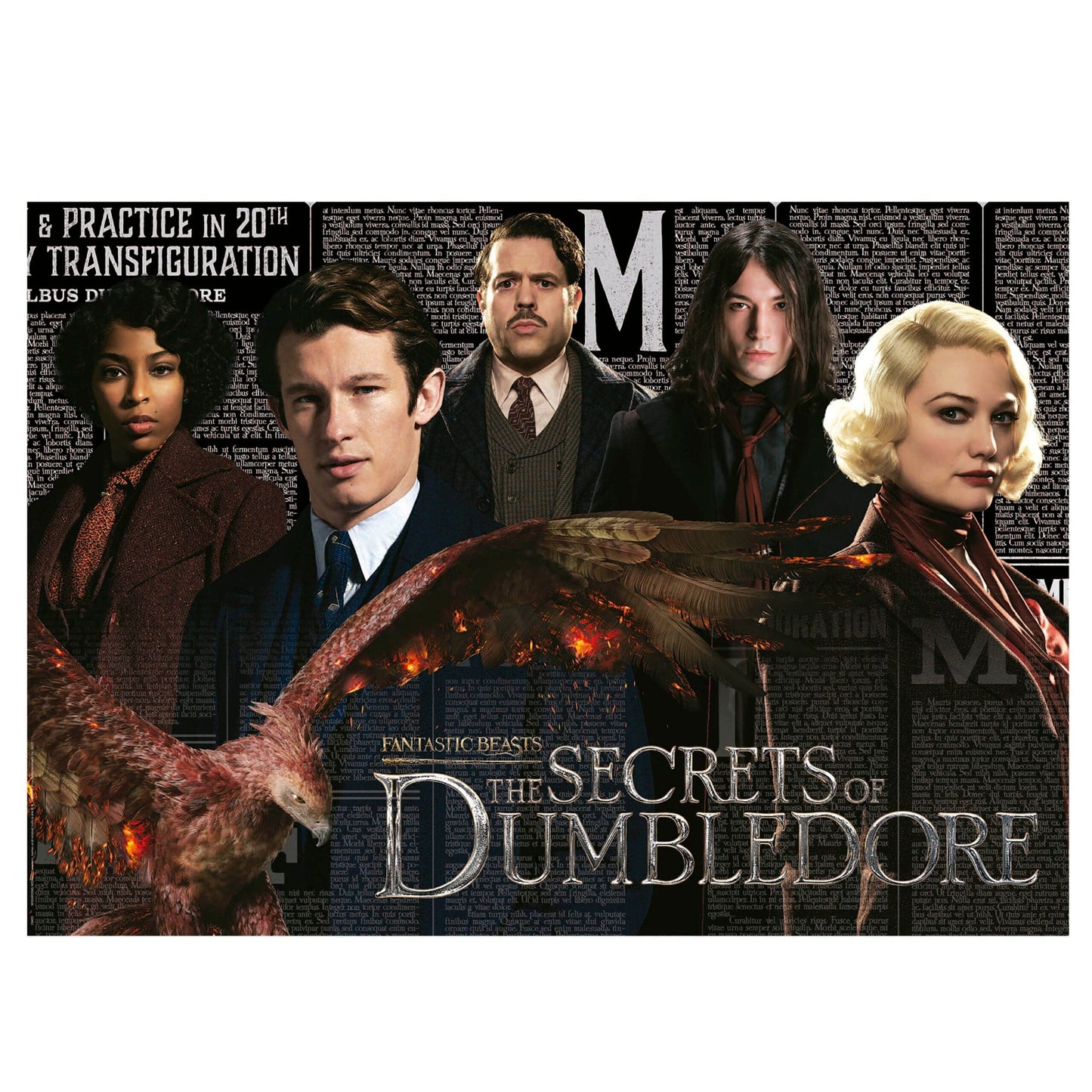 Educa Universalios dėlionės Fantastic Beasts, 1000