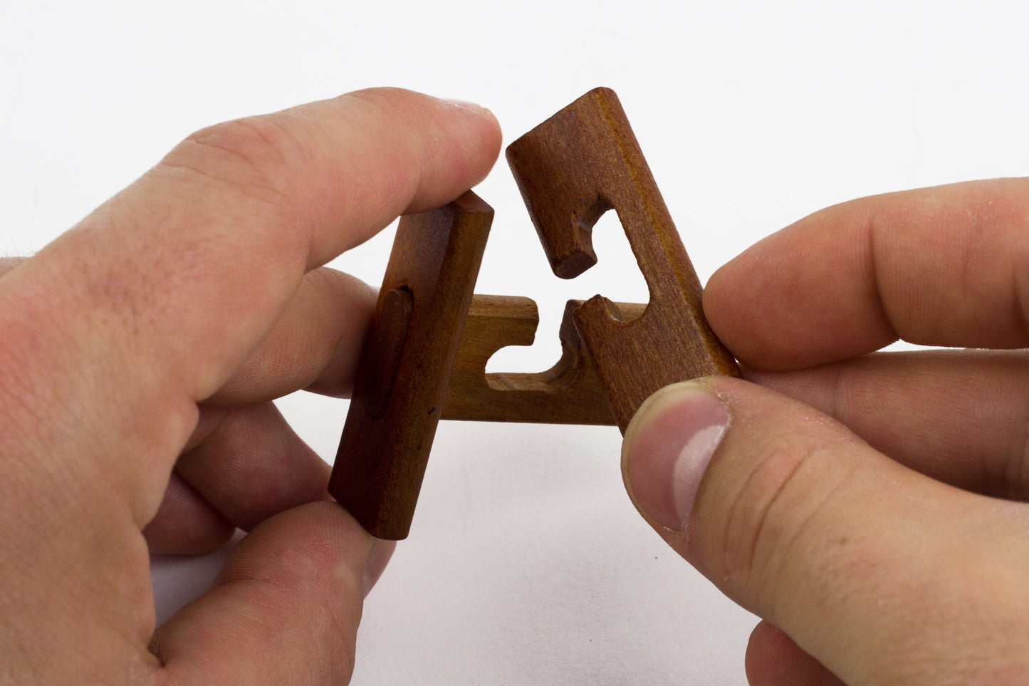 Professor Galvosūkiai Great Minds set of 5