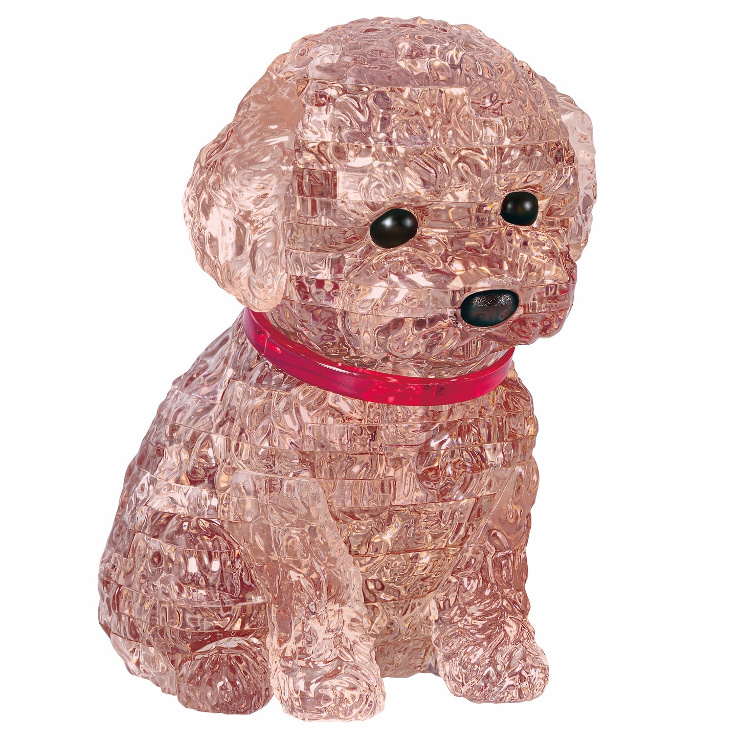 Toy Poodle (rudas)