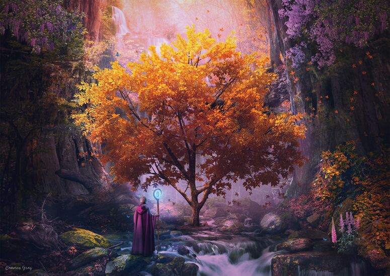 Enchanted forest, 1000