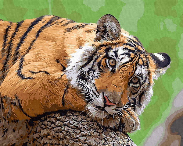 Tigras ilsisi, 40x50 cm