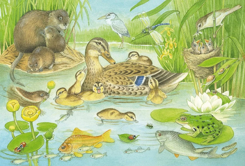 Animal family, 3x48-Vaikiškos dėlionės-Brain Games LT