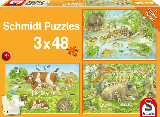 Animal family, 3x48-Vaikiškos dėlionės-Brain Games LT