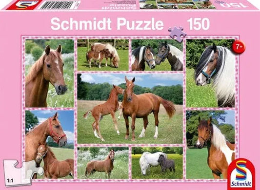 Beautiful Horses, 150-Vaikiškos dėlionės-Brain Games LT