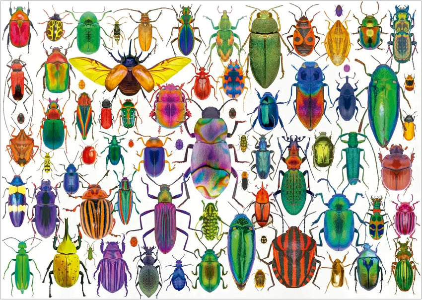 Educa Universalios dėlionės Beetles, 500