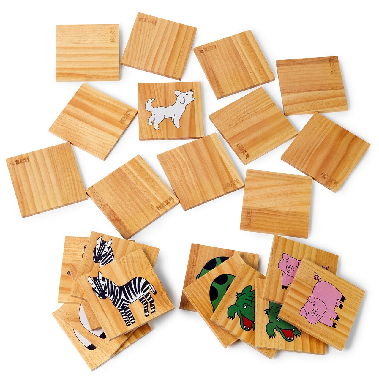 BEX Lauko žaidimai BEX Giant Memorize set Family