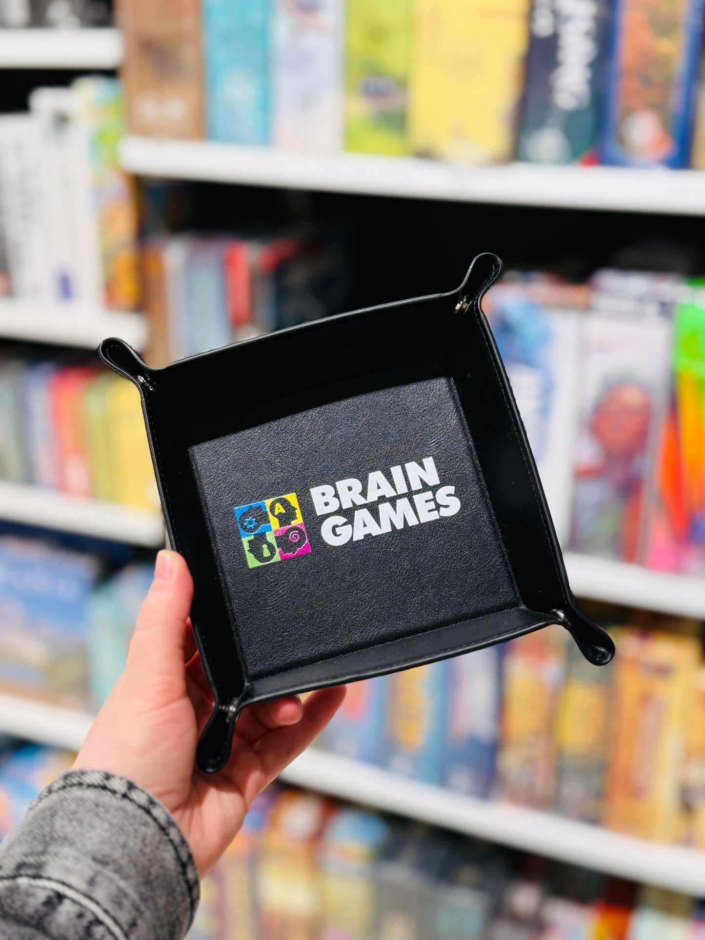 Brain Games LT Kita Kauliukų padėklas