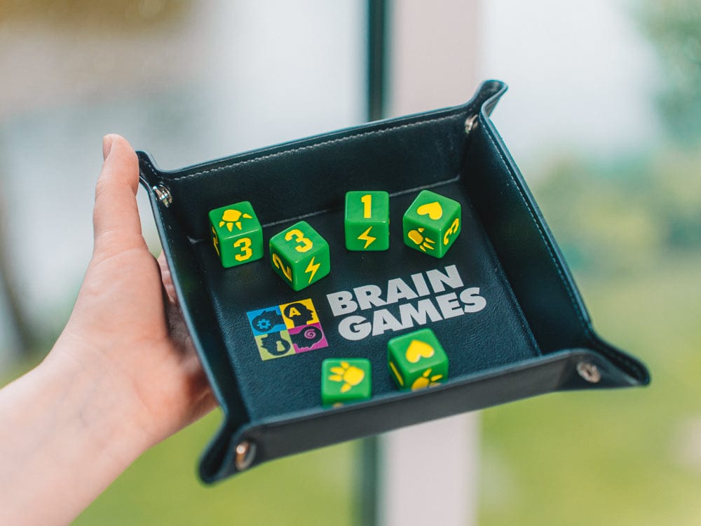 Brain Games LT Kita Kauliukų padėklas