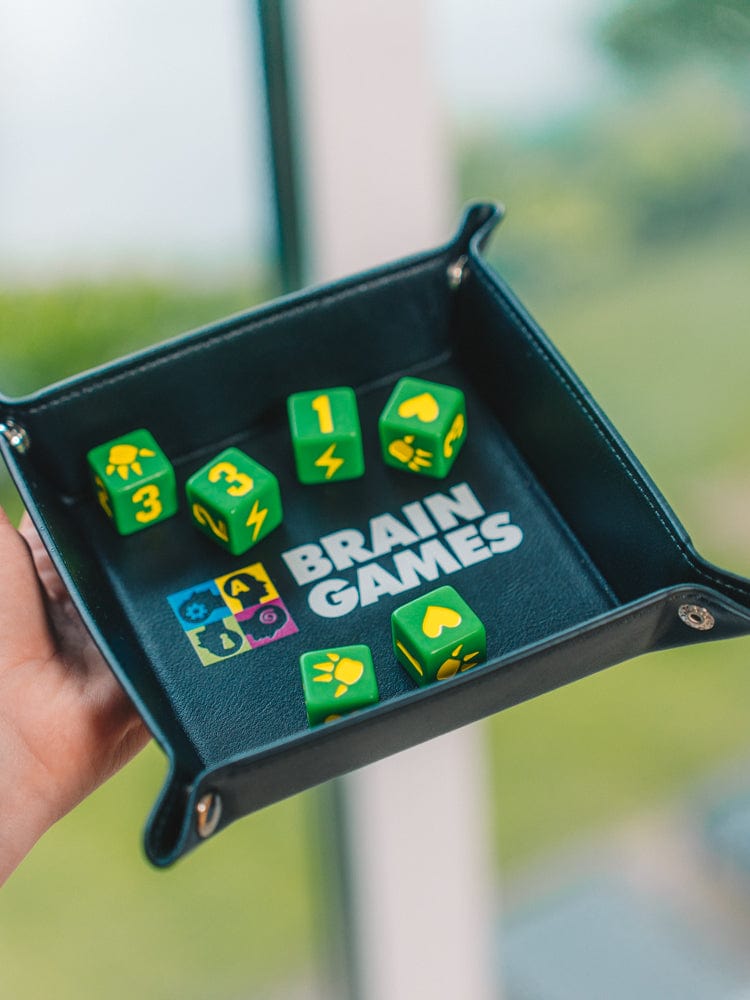 Brain Games LT Kita Kauliukų padėklas