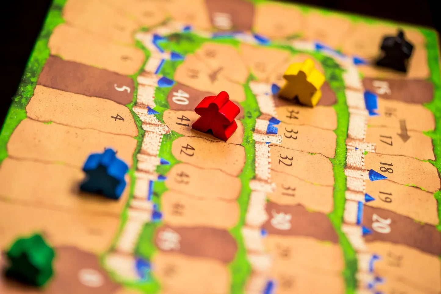 Carcassonne-Stalo žaidimai-Brain Games LT