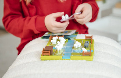Counting Sheep-Loginiai Žaidimai-Brain Games LT