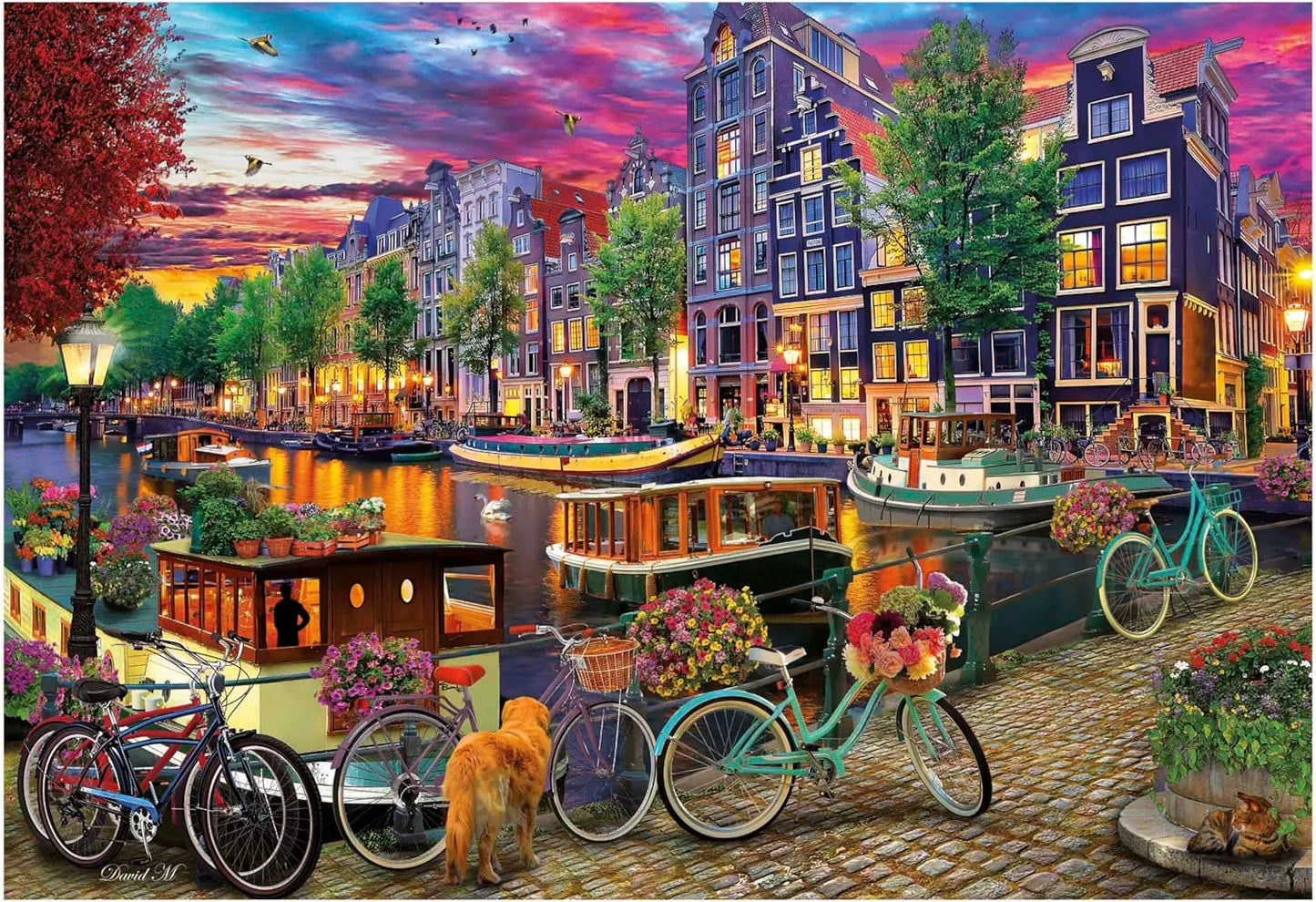 Cycling in Amsterdam, 6000-Brain Games LT