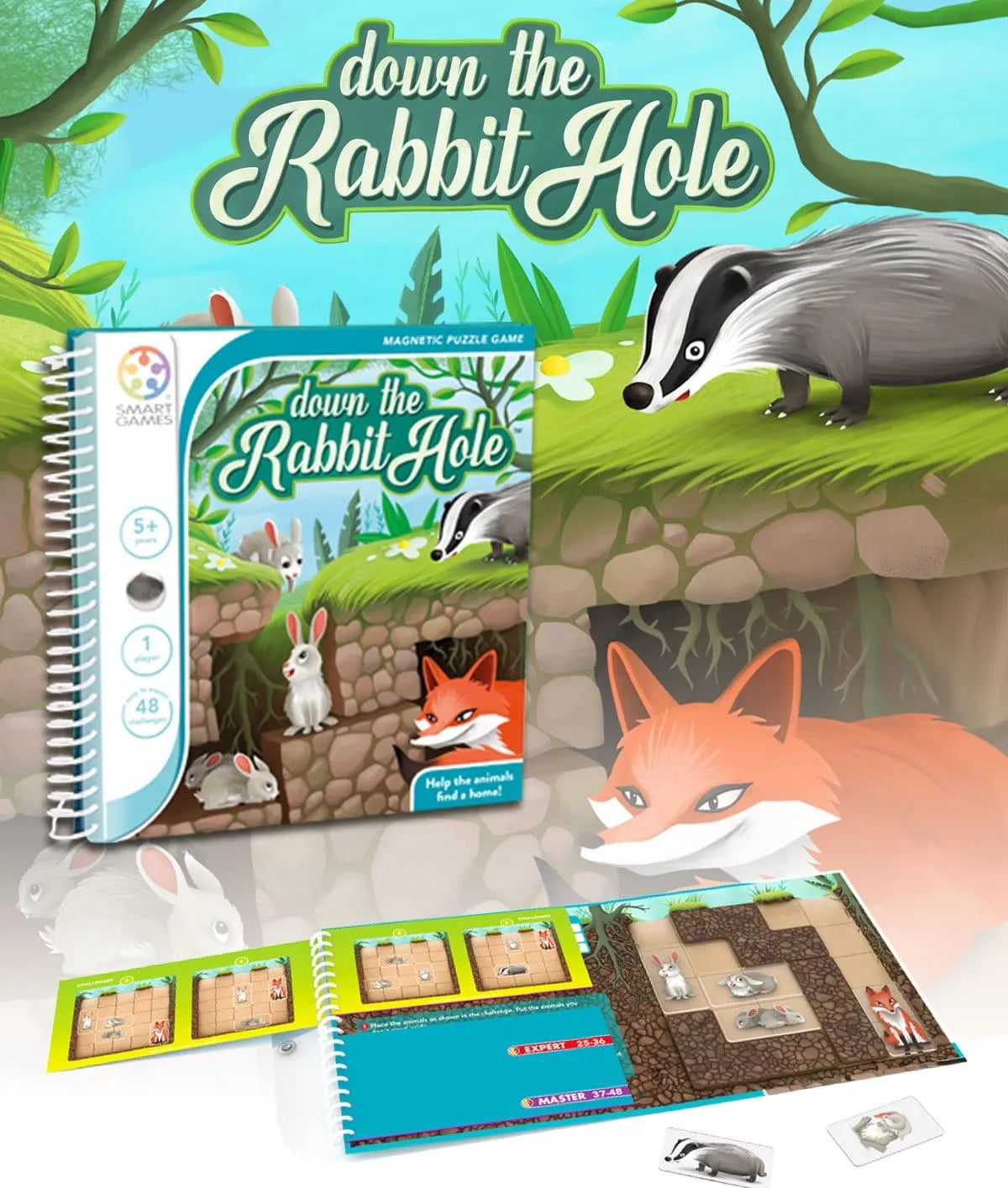 Down the Rabbit Hole-Loginiai Žaidimai-Brain Games LT