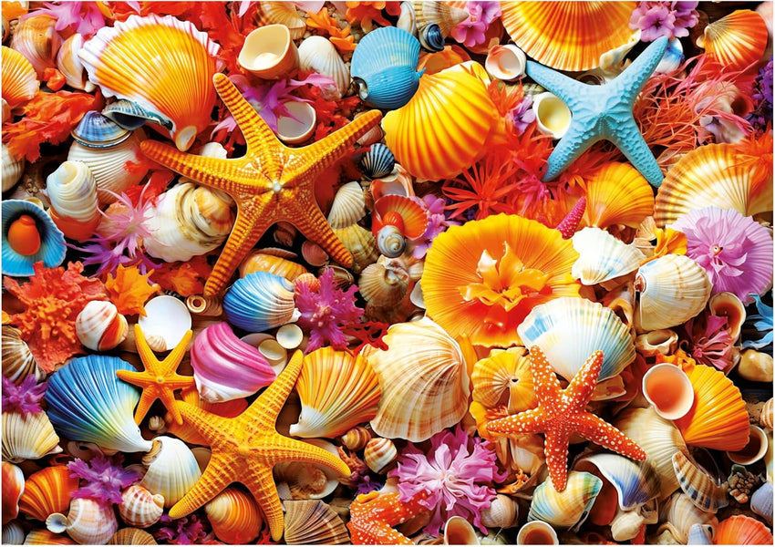 Educa Universalios dėlionės Shell Collage, 1000