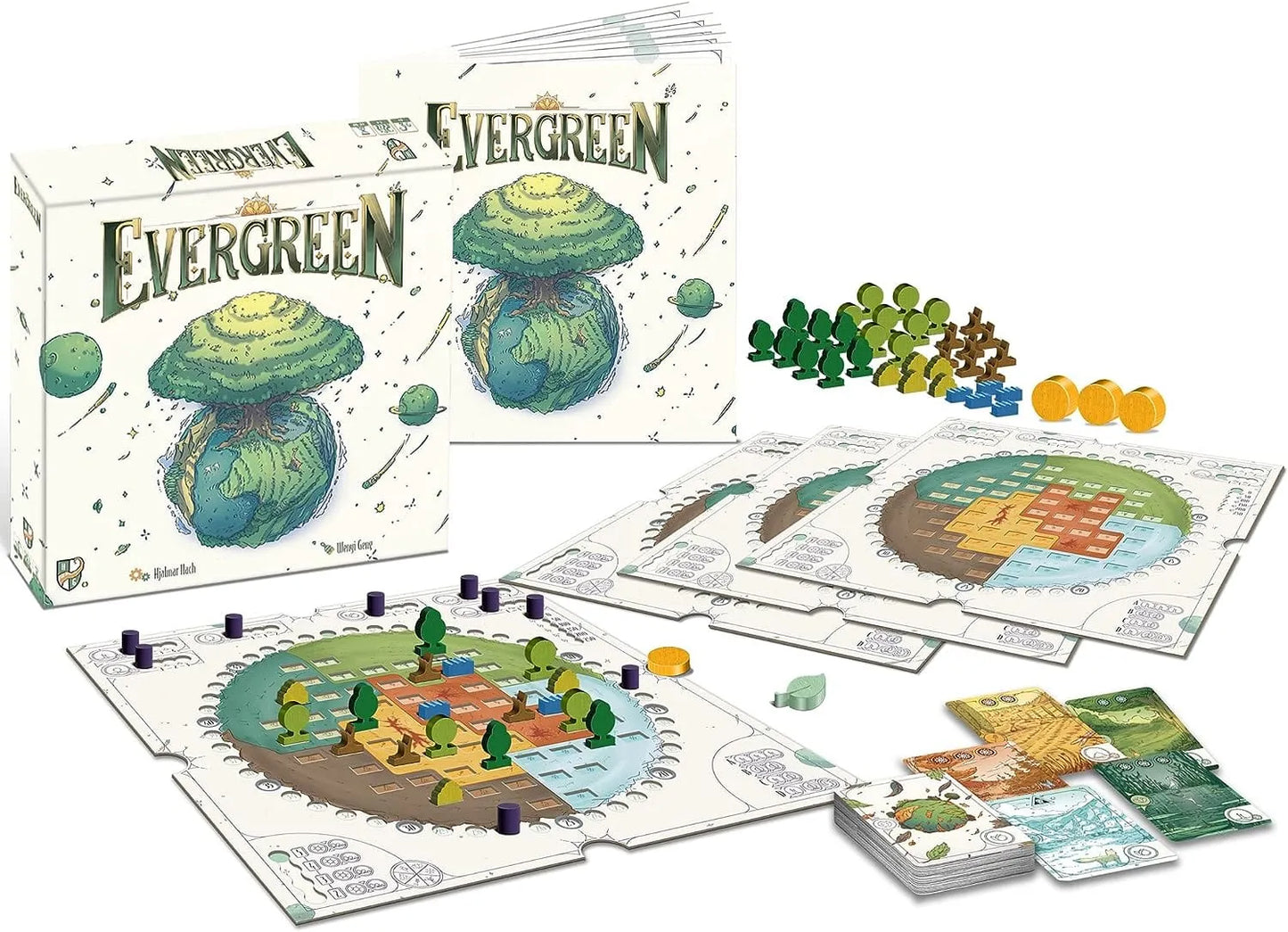 Evergreen-Stalo žaidimai-Brain Games LT