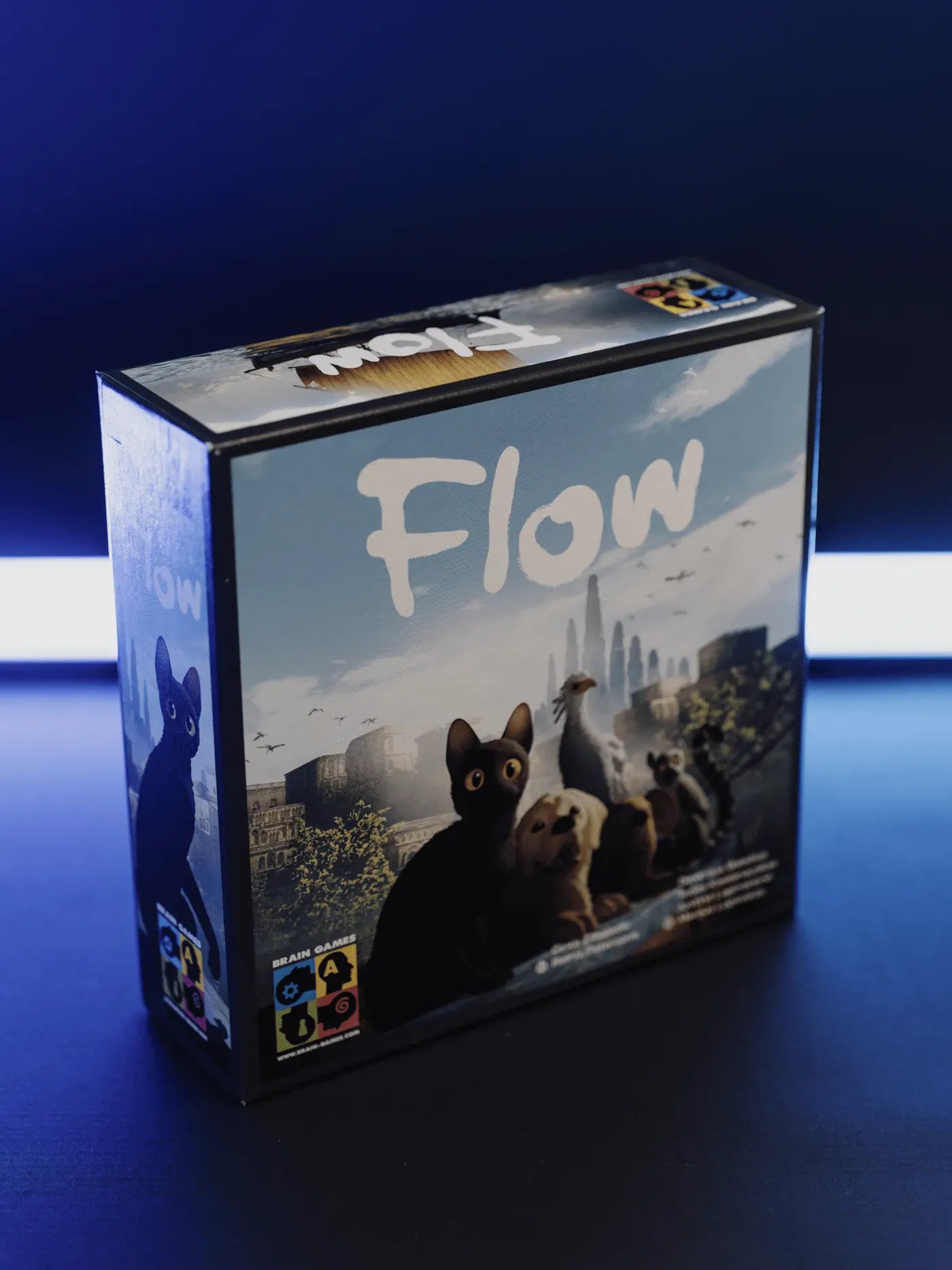 Flow-Stalo žaidimai-Brain Games LT