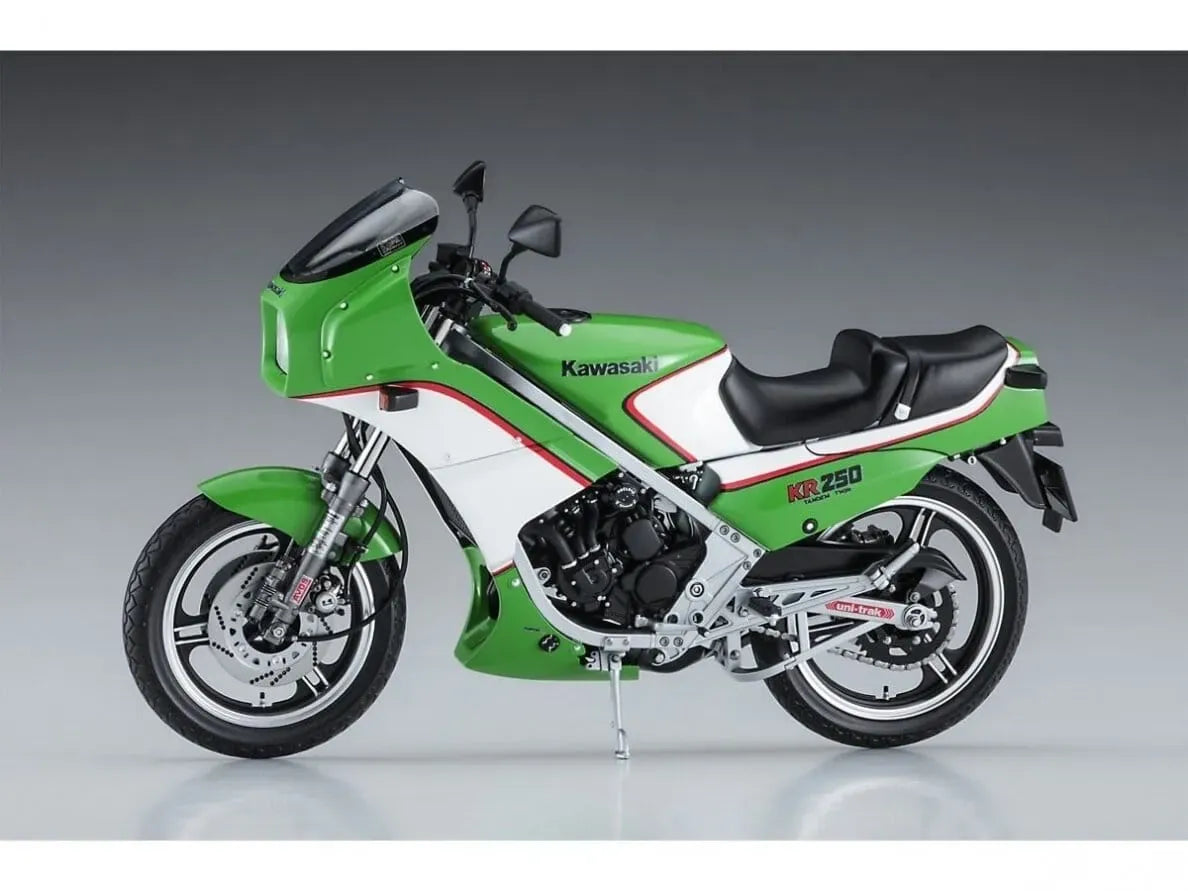 Hasegawa - Kawasaki KR250 (KR250A)-Surenkami modeliai-Brain Games LT