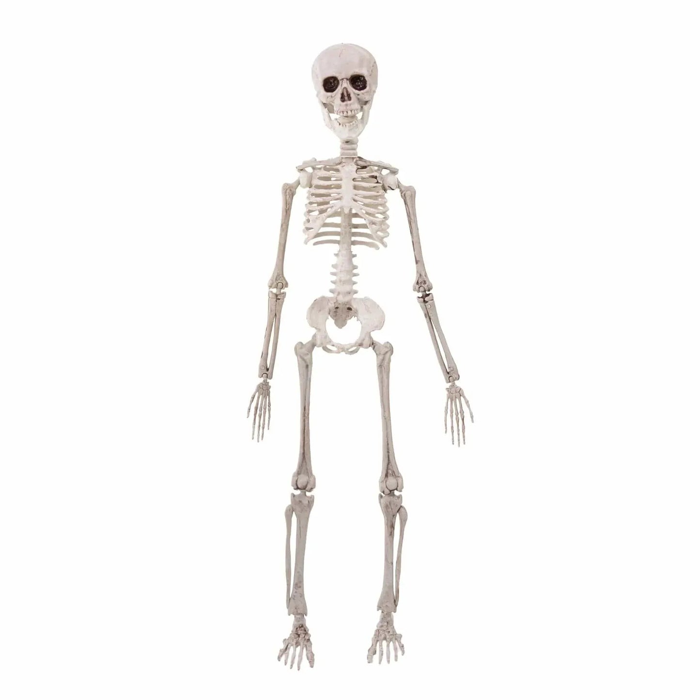 partypal Kita Helovino dekoracija - skeletas, 50 cm