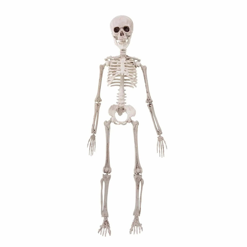 partypal Kita Helovino dekoracija - skeletas, 50 cm