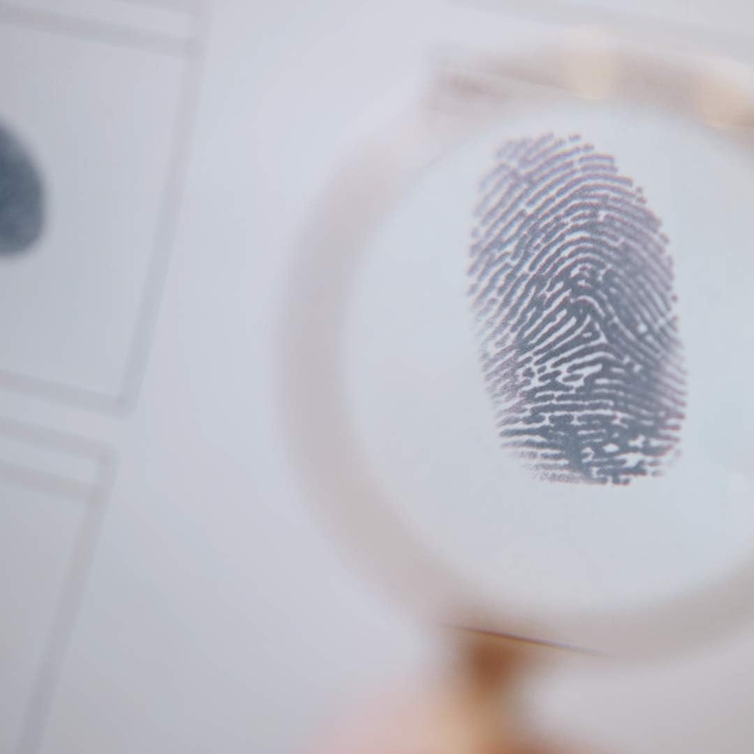 Hidden games Stalo žaidimai Hidden Games Crime Scene No. 2 - The Midnight Crown