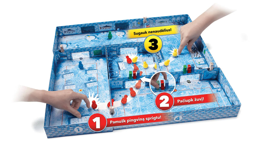 ICECOOL-Stalo žaidimai-Brain Games LT