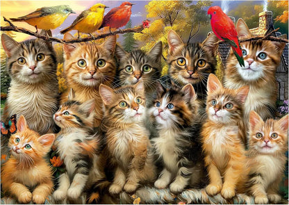 Kittens and Birds, 500-Universalios dėlionės-Brain Games LT