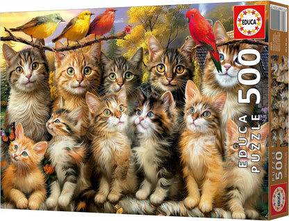 Kittens and Birds, 500-Universalios dėlionės-Brain Games LT