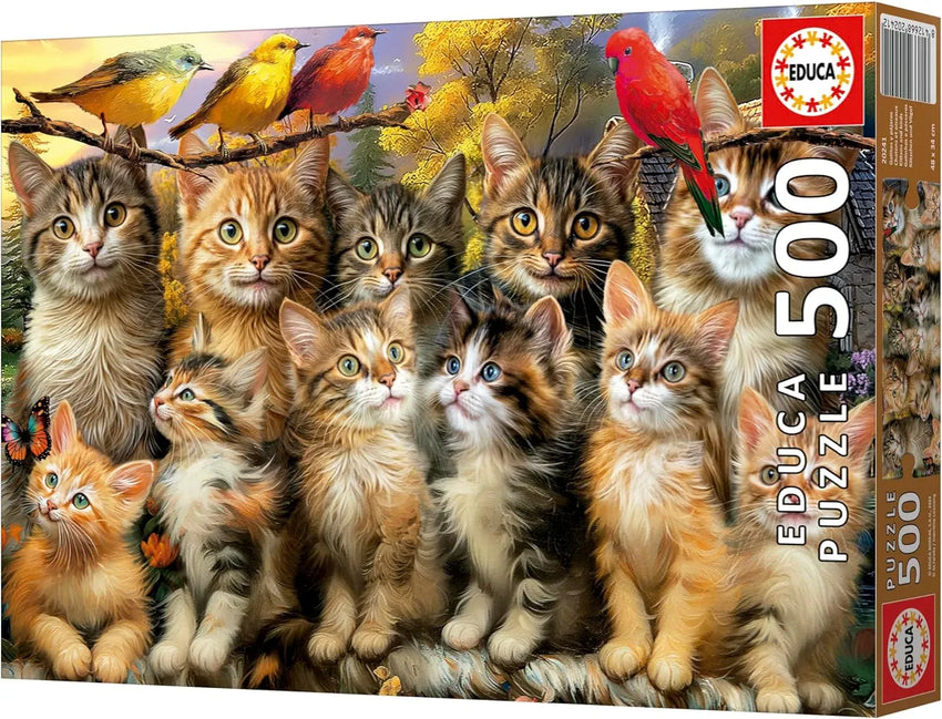 Kittens and Birds, 500-Universalios dėlionės-Brain Games LT