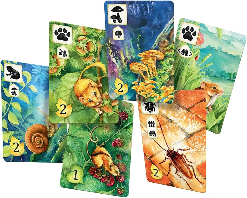 Meadow-Stalo žaidimai-Brain Games LT