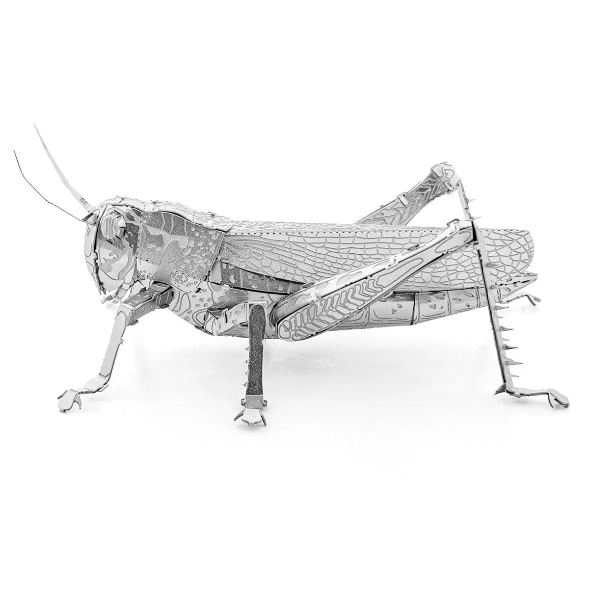 Metal Earth Konstruktoriai Metal Earth Grasshopper