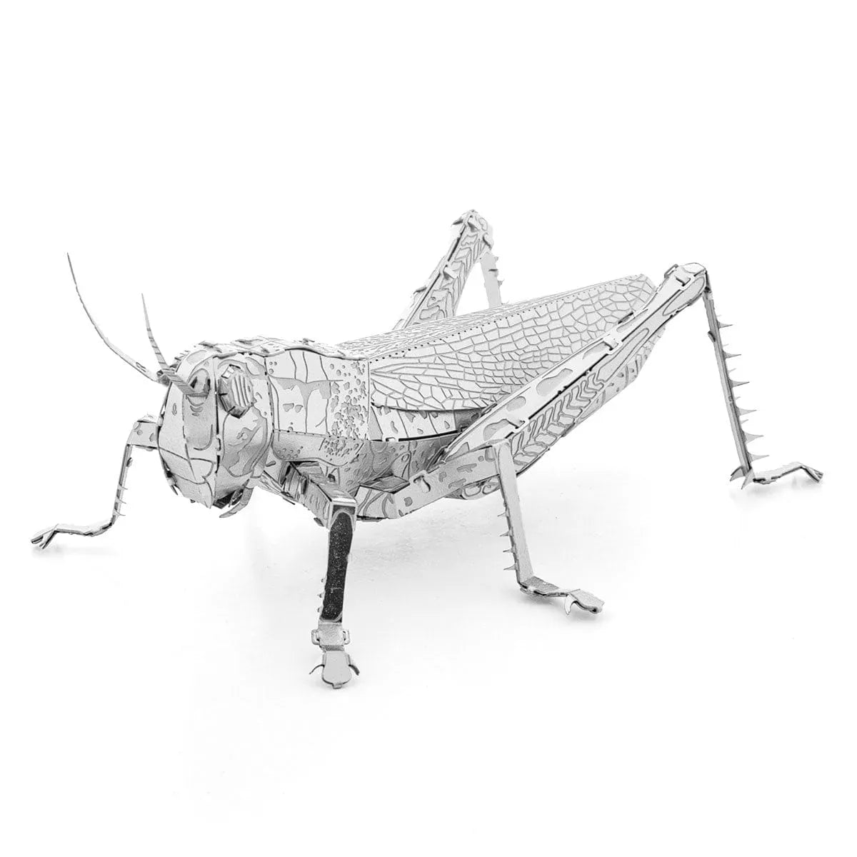 Metal Earth Konstruktoriai Metal Earth Grasshopper