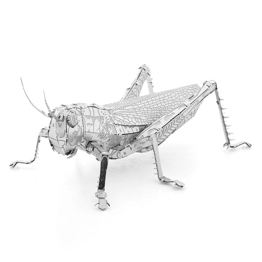 Metal Earth Grasshopper-Konstruktoriai-Brain Games LT
