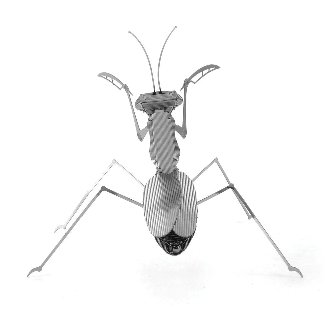 Metal Earth Praying Mantis-3D Delionės-Brain Games LT
