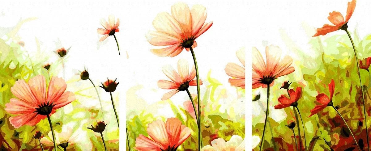 Miralus Rankdarbiai Žydėjimo laukas 40x50 cm x 3